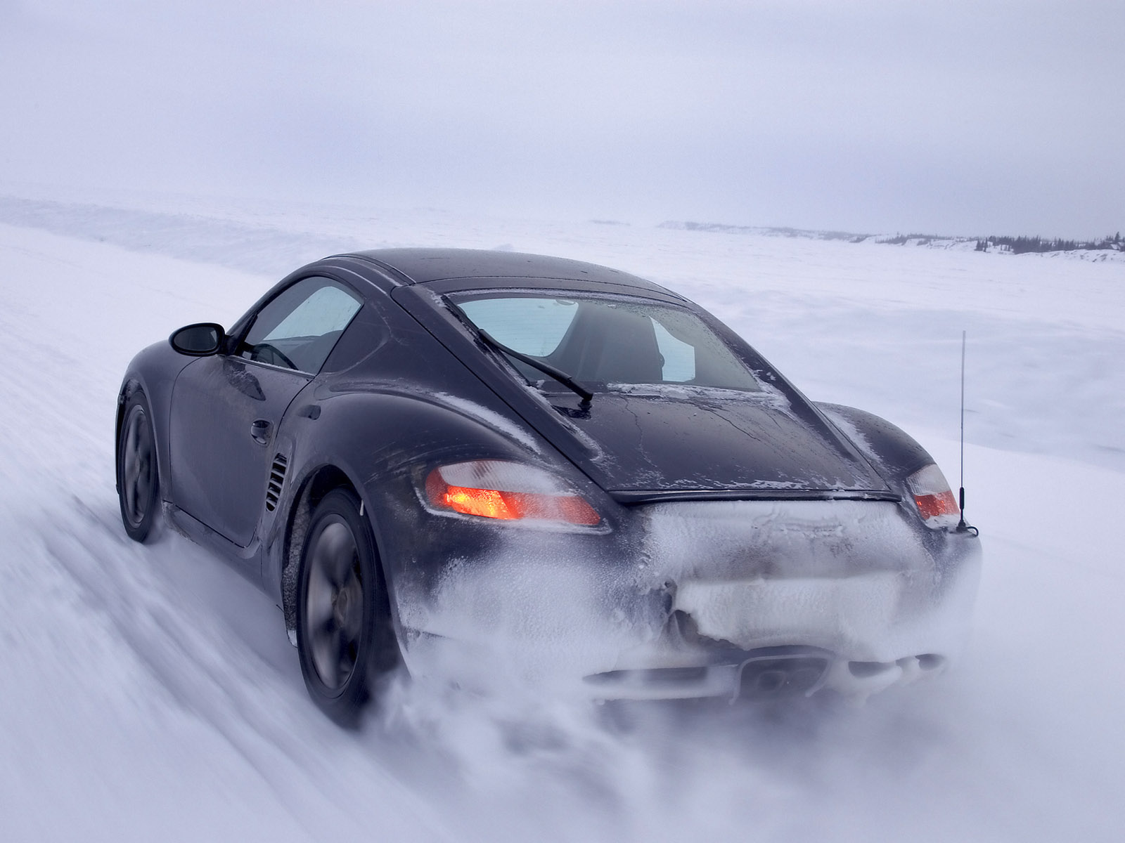 Wallpapers – No calor da neve!