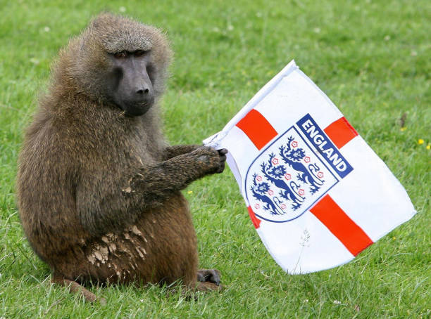 Hooligans de Sua Majestade!