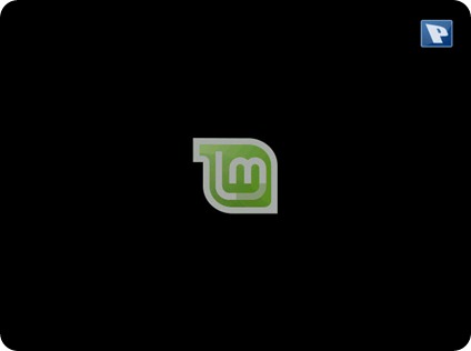 mint_02