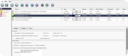 torrent_7