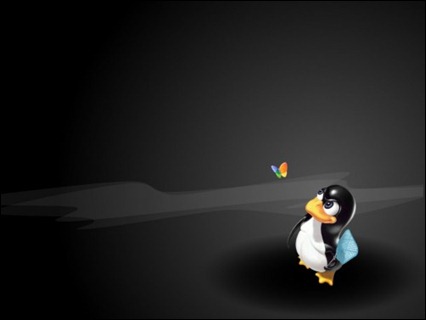 linux-wallpapers-3-500x375