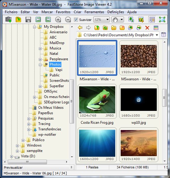 FastStone Image Viewer 4.2 – Organize as suas fotos