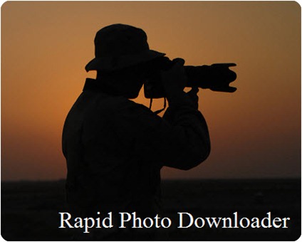 rapid_03