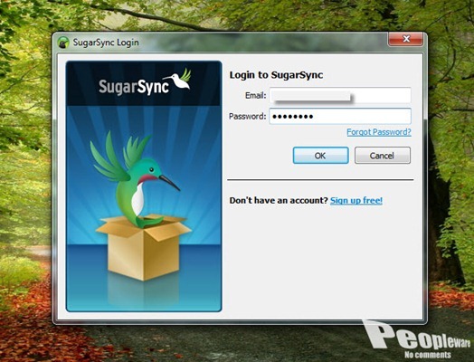 sugarsync_04