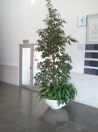 2011-03-31 17.25.14_270px