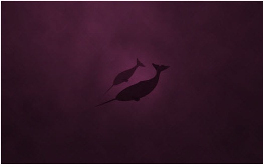 ub_03 ub_03