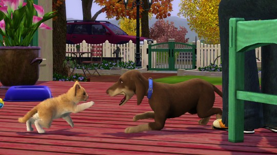 Mascotes também terão direito a Sims!