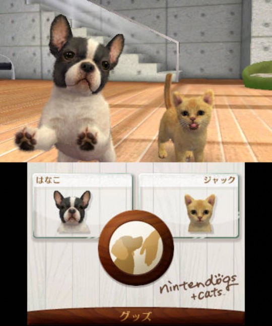União Zoófila e Campus Nintendodogs+Cats – Por uma boa causa