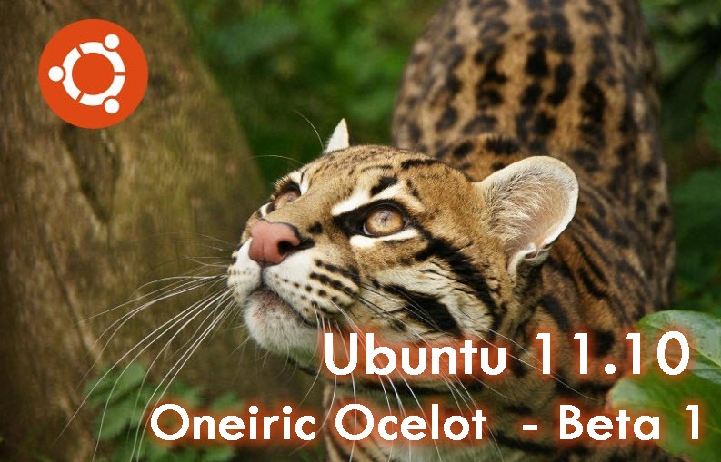 Está disponível o Ubuntu 11.10 Oneiric Ocelot Beta 1