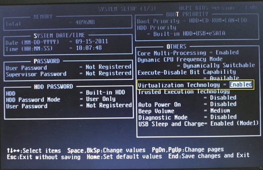 w8_bios