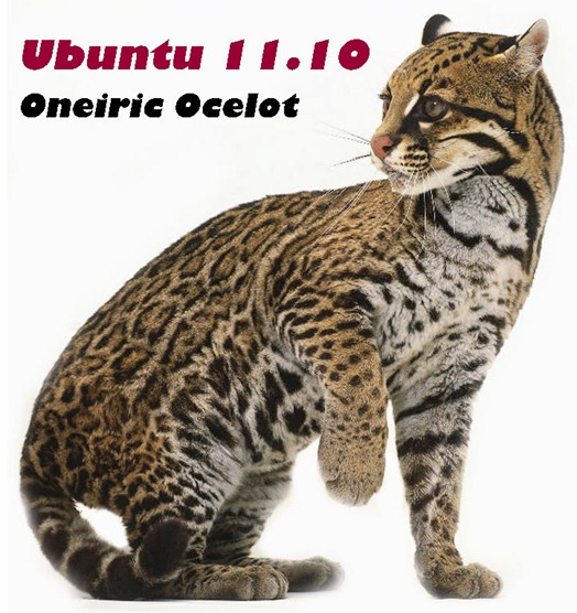 ubuntu_1110