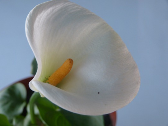 P1010428
