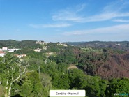 cenatur