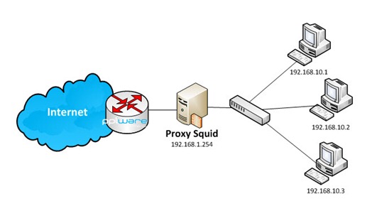 squid_00