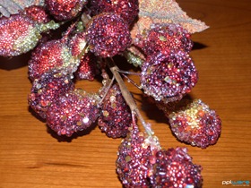 P1010640