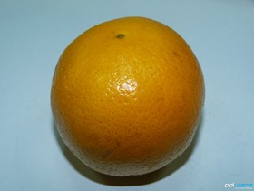 P1010707