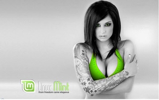mint_00