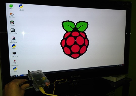 rasp37