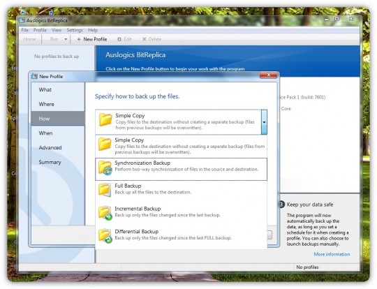 auslogics-bitreplica-01-pplware