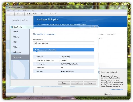 auslogics-bitreplica-03-pplware