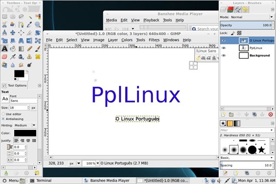 ppllinux_04