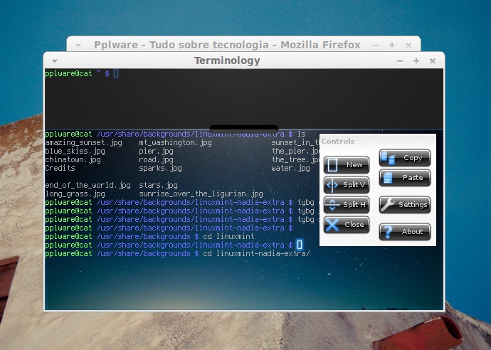 Terminology – Nova geração do terminal Linux