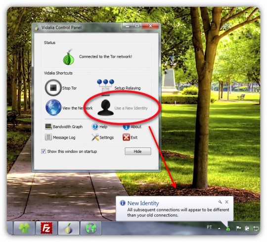 tor-browser-bundle-04-pplware