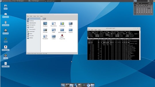 rasp_02