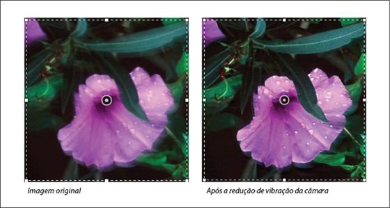 Before_After_CSR