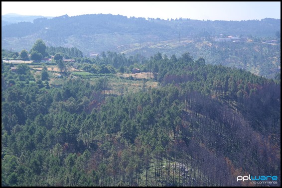 paisagem2
