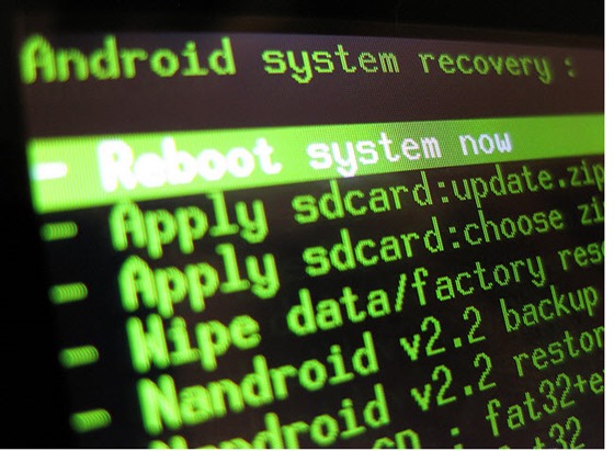 root_02