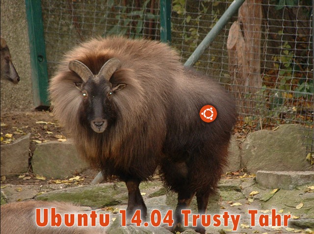 Vem aí o Ubuntu 14.04 Trusty Tahr