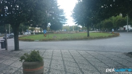 z1_foto_dia_thumb