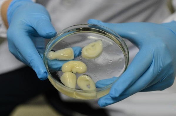 Bioimpressora promete revolucionar o transplante de órgãos