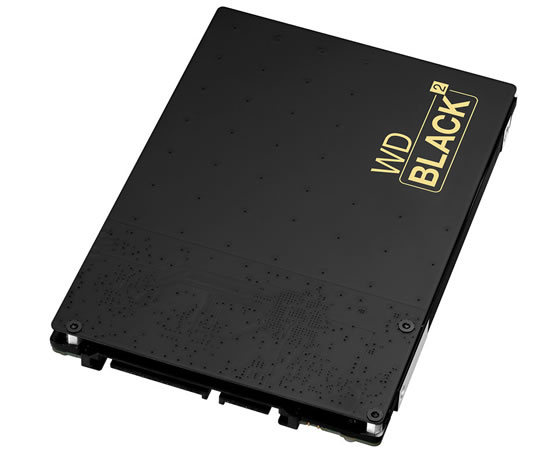 imagem_wd_black2_01_small
