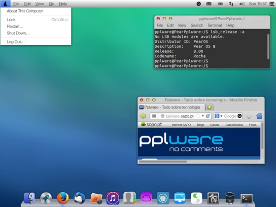 pear_18