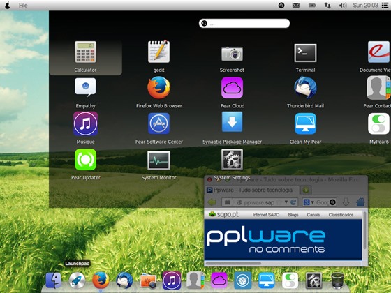 pear_19