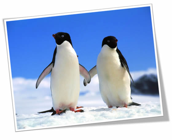 Wallpapers Pplware – O Ano de 2013 está no fim