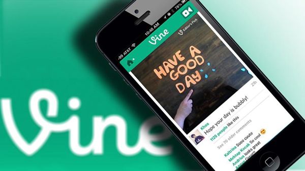 vine_01