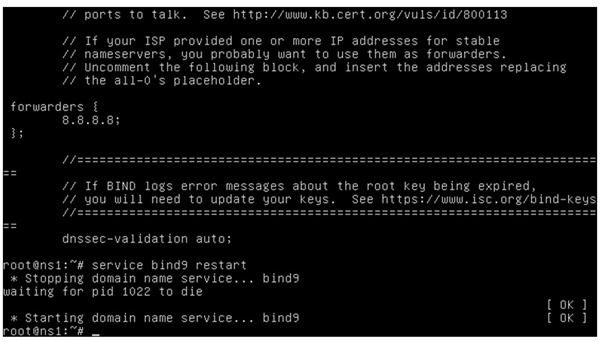 dns_6