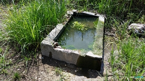 analise_s5_24 (5)_300