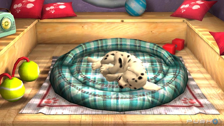 Vita Pets, um animal de estimação na palma da sua mão!