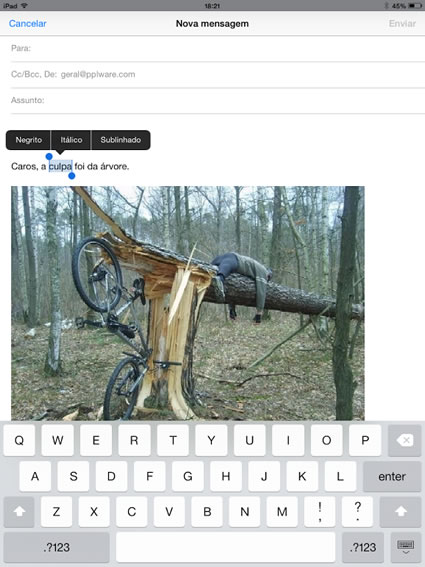 Depois de uma frase seleccionada há uma grupo de opções que podem ser usadas