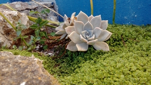 exemplo_bq_4_small