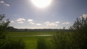 fotos_lumia_630 (3)_s