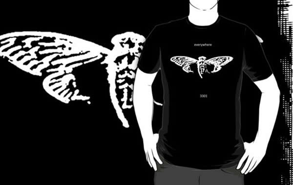 Cicada 3301 – A organização misteriosa!