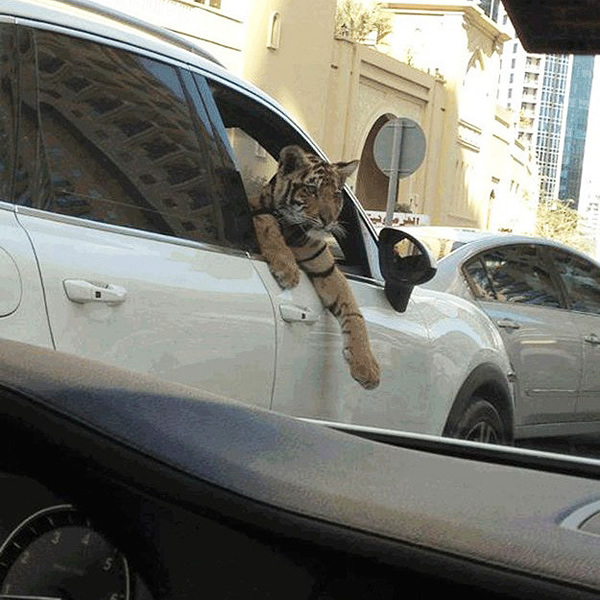 imagem_dubai02_small
