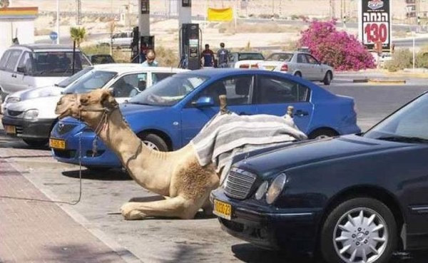 imagem_dubai08_small