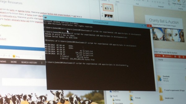 Microsoft_2014_66-730x409