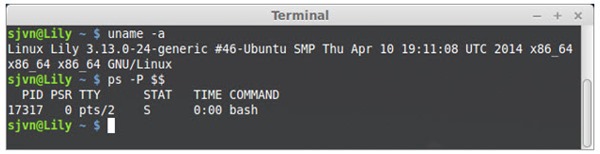 bash